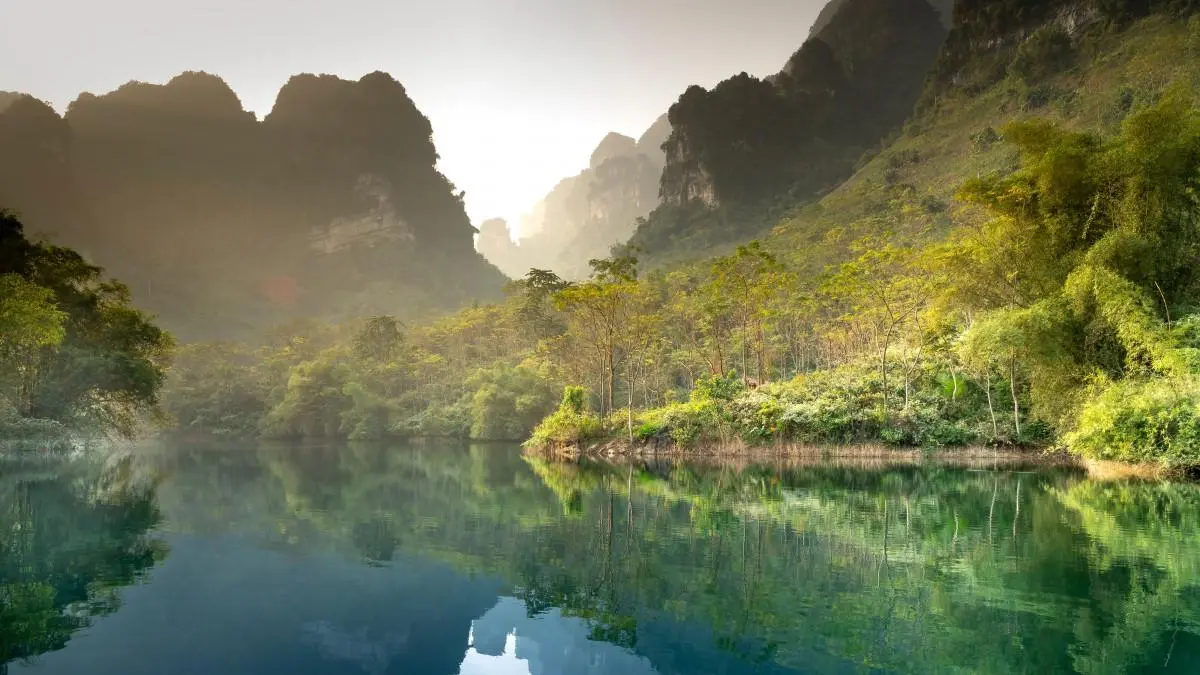 先进科技可靠性